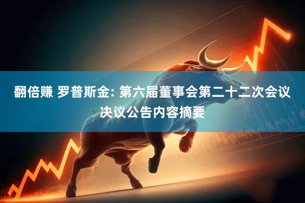 翻倍赚 罗普斯金: 第六届董事会第二十二次会议决议公告内容摘要