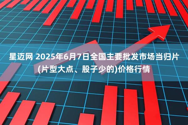 星迈网 2025年6月7日全国主要批发市场当归片(片型大点、股子少的)价格行情