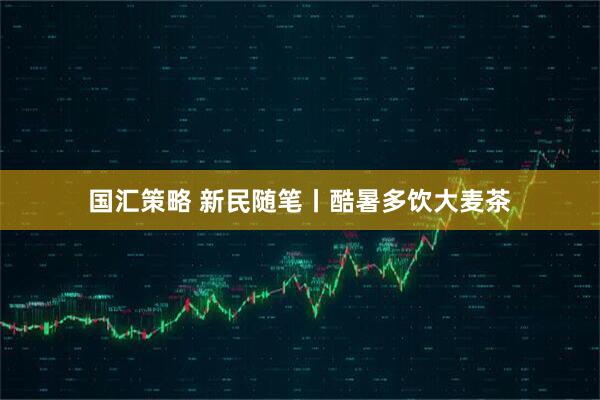 国汇策略 新民随笔丨酷暑多饮大麦茶
