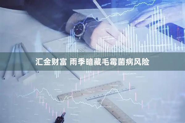 汇金财富 雨季暗藏毛霉菌病风险