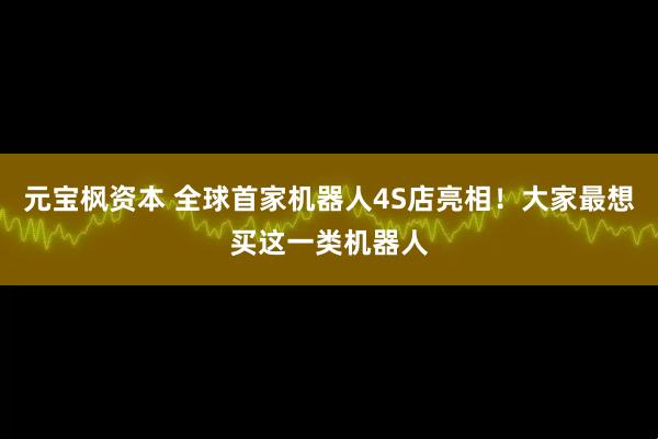 元宝枫资本 全球首家机器人4S店亮相！大家最想买这一类机器人