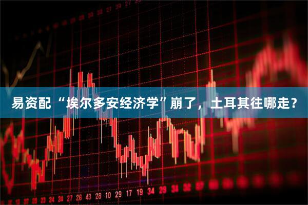 易资配 “埃尔多安经济学”崩了，土耳其往哪走？