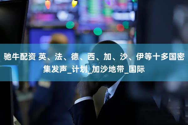 驰牛配资 英、法、德、西、加、沙、伊等十多国密集发声_计划_加沙地带_国际