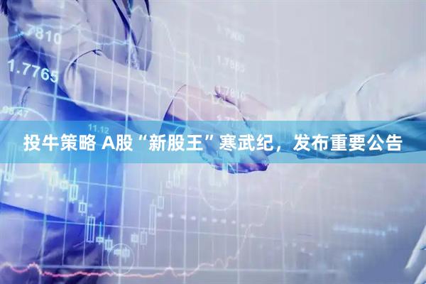 投牛策略 A股“新股王”寒武纪，发布重要公告
