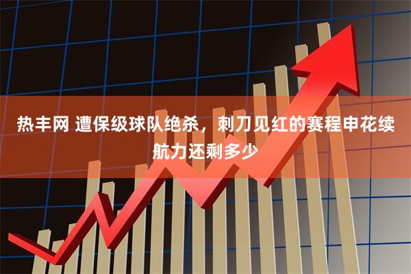 热丰网 遭保级球队绝杀，刺刀见红的赛程申花续航力还剩多少