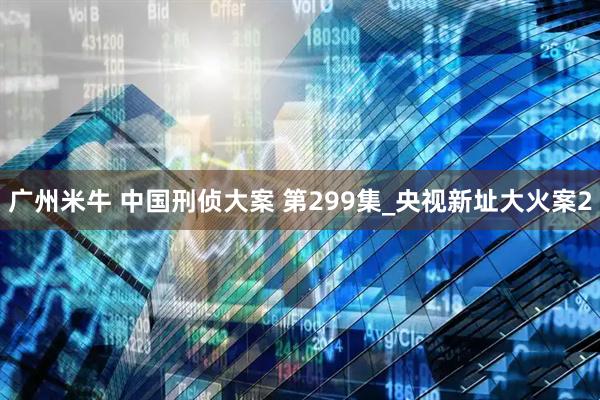 广州米牛 中国刑侦大案 第299集_央视新址大火案2