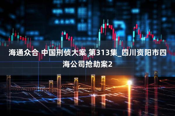 海通众合 中国刑侦大案 第313集_四川资阳市四海公司抢劫案2