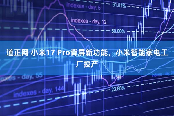 道正网 小米17 Pro背屏新功能,小米智能家电工厂投产